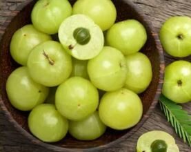 Photo of आंवला खाने के फायदे तो हैं बेशुमार, पर हो सकता है सेहत को नुकसान