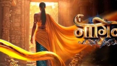 Photo of एकता कपूर के शो में नागिन बनेगी ये हसीना