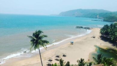 Photo of क्रिसमस और नए साल के लिए भारत की बेस्ट 8 जगह, जो बना देंगी दिसंबर ट्रिप को यादगार