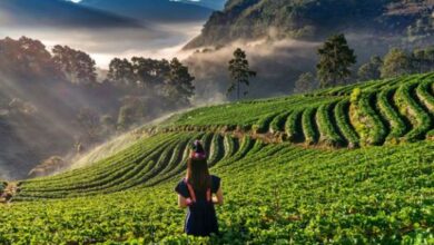 Photo of साल की पहली यात्रा बनेगी सबसे खास, ये 5 जगह दिल और भाग्य दोनों चमकाएंगी