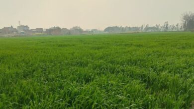 Photo of बरेली: परसाखेड़ा आवासीय योजना के लिए जमीन देने से किसानों का इन्कार