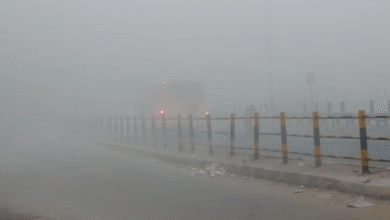 Photo of उत्तराखंड जूझ रहा सूखी ठंड से, मैदानी क्षेत्रों में घने कोहरे को लेकर यलो अलर्ट