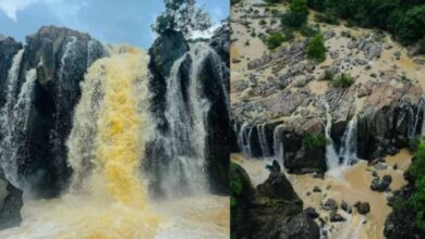 Photo of ओडिशा के घने जंगलों के बीच छिपा है गुंडिचा घाघी वॉटरफॉल