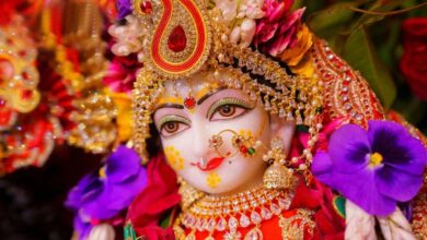 Photo of धूमधाम से मनाया जा रहा है राधा अष्टमी का पर्व, जानें शुभ मुहूर्त और पूजन विधि