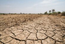 Photo of कर्नाटक में गहराया Drought संकट, डी. के. शिवकुमार ने केंद्र से 50% राहत राशि मांगी
