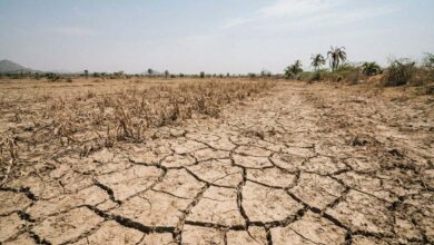 Photo of कर्नाटक में गहराया Drought संकट, डी. के. शिवकुमार ने केंद्र से 50% राहत राशि मांगी