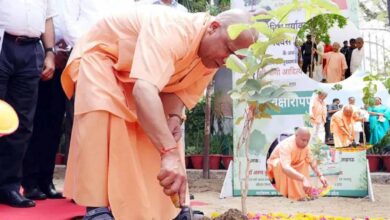 Photo of शिक्षकों के सम्मान में आज सभी वन प्रभाग लगाएंगे ‘एक पेड़ गुरु के नाम’, शिक्षक दिवस पर प्रदेशभर में होगा पौधरोपण