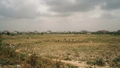 Photo of IMD ने जारी किए आंकड़े, इस साल Monsoon में सामान्य से 13 फीसदी कम दर्ज हुई बारिश